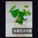 탑클래스고시원 | 대전 둔산동 고시텔 추천 싱글인고시텔 깔끔한 시설, 편리한 생활권