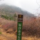 여수 돌산 종주 이미지