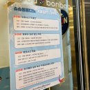 슈슈봉봉디노 이미지