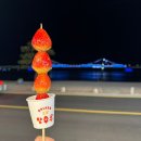 장곡리 239-8번지 앞 | 24.02.05 - 24.02.08 부산여행