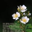 하락장을 뜨겁게 사랑하라 이미지