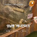아이닥터 콘택트 울산점 | 울산 아이문화패스카드 가능한 실내동물원 성남동 캐니언파크