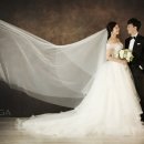 엘가스튜디오 이미지