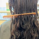 성신여대 미용실 유기농케어로 컬 살린 후기, 살롱드바이퍼스트