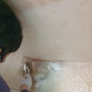 상록마을우성아파트 | 분당 정자동 상록마을 우성 아파트 24평도배비용은 작은방 시공 후기