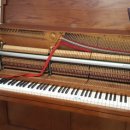 원메이저 자이 이미지