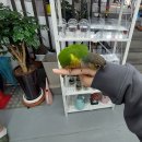 차족관물멍