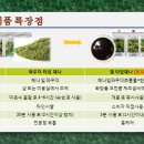 세이프존 미용실