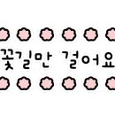 마렛트 네이버블로그