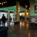 퍼피펜트하우스 이미지