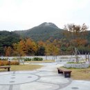도청마을 이미지