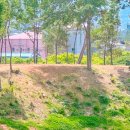 용동공원2 이미지