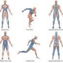 바디챌린지MTP트레이닝 이미지