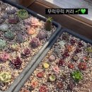 이정농장 이미지