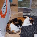 콩수레 두부家 이미지