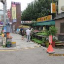 배추당구장 이미지