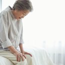 365열린우리의원 이미지