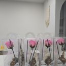 광산구장애인복지관 강당(4층) | 발달장애인센터 학부모 힐링 원데이클래스 공간 향기디자인 디퓨저 출장수업 with 한국길버트공예센터
