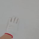 포레스톤A 이미지