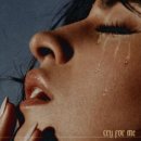 Camila Cabello / Cry for me (원key Am) mr 이미지