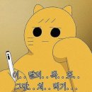 사바나 코쉬카 | 5월 일상🐽