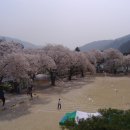 덕암초등학교 이미지