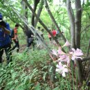 생태숲민박 이미지