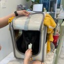 고양이이발관(부천신중동점) 이미지