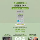 에이스원 이미지