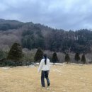 별서담