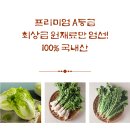 여름김치, 손맛을 담다 (8월) | [3차공구] 열무김치 포기김치 총각김치 ♥︎ 내가 먹으려고 여는 공구!