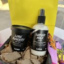 라임헤어 | [러쉬] 수퍼밀크 헤어 컨디셔너 프라임 에센스, 라임 바운티 보디 버터 후기