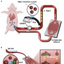 한국정화기술 이미지