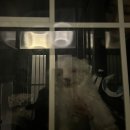 또, 올개 이미지