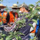 오창농장 이미지