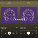 Chacha정림 / 20230226 / 오전 10시 이미지