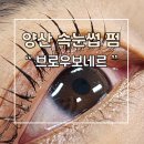 지오빌 앞 | 양산속눈썹펌 맛집 &#34;브로우보네르&#34; 첫 방문