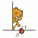 인세미 이미지