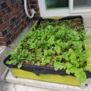 기로(여)경로당 이미지