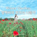몽상의정원 | 남양주 물의정원 양귀비 실시간, 서울근교 피크닉 명소 기대했지만?!