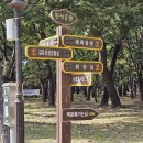 숲길발길 이미지