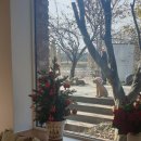 대덕로 | 당진 합덕 케이크 디저트카페 [카페피어라] 내돈내산 디저트 3종 솔직 후기