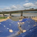 낙동강제방(3) 이미지