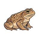 오시오