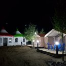 산속애견 이미지