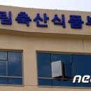 농식품부, 쌀 2000톤 미얀마·필리핀·라오스에 지원… 이미지