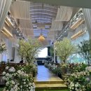 (유)스카이 투어 | W05.[웨딩홀 투어]더아리엘 수원 스카이가든홀 밝은홀 26년 하반기 식대 당일계약 견적