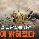 꿀벌PC 이미지