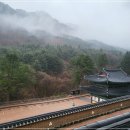 장군만나