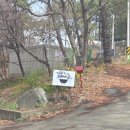 나무아래 | 🌳 가성비 끝판왕, 파주 나무그늘아래바베큐장 아이랑 다녀온 후기